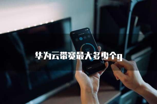 华为云带宽最大多少个g