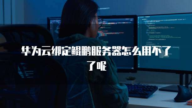 华为云绑定鲲鹏服务器怎么用不了了呢