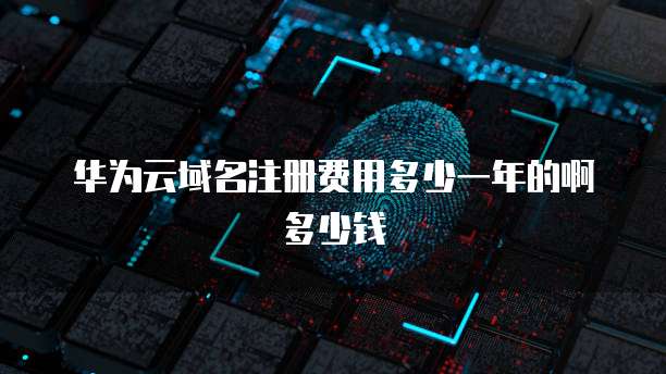 华为云域名注册费用多少一年的啊多少钱