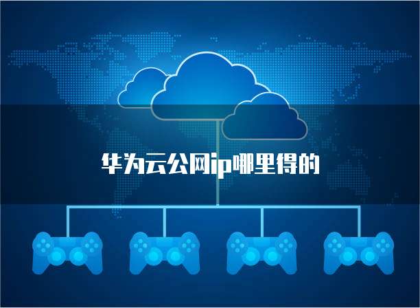 华为云公网ip哪里得的