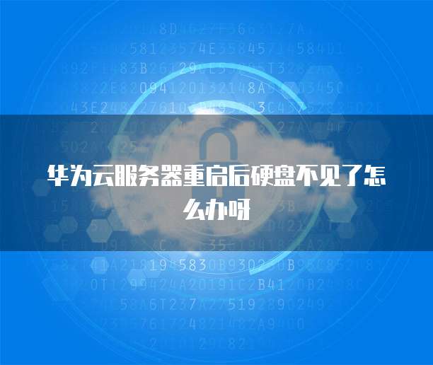 华为云服务器重启后硬盘不见了怎么办呀