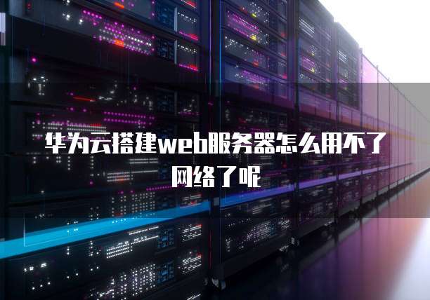 华为云搭建web服务器怎么用不了网络了呢