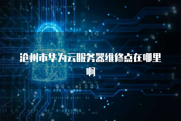 沧州市华为云服务器维修点在哪里啊