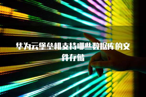 华为云堡垒机支持哪些数据库的文件存储