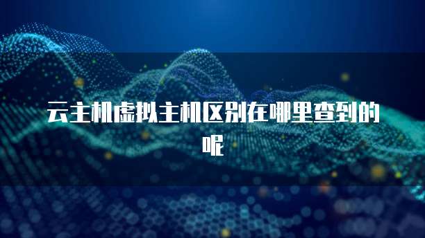 云主机虚拟主机区别在哪里查到的呢
