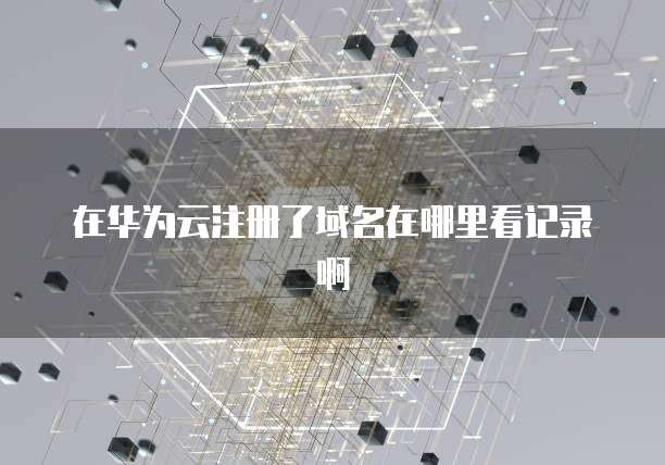 在华为云注册了域名在哪里看记录啊