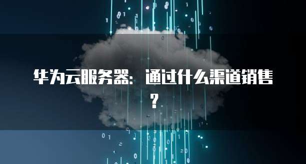 华为云服务器：通过什么渠道销售？