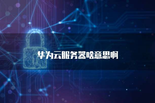 华为云服务器啥意思啊