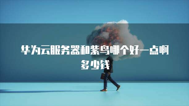 华为云服务器和紫鸟哪个好一点啊多少钱