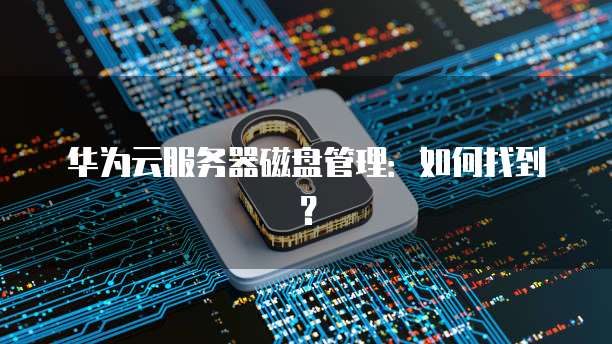 华为云服务器磁盘管理：如何找到？