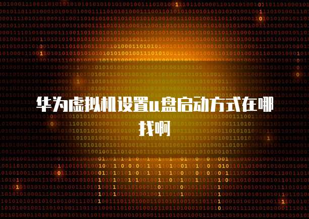 华为虚拟机设置u盘启动方式在哪找啊