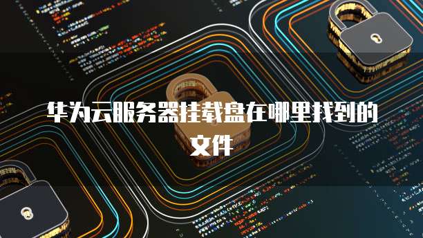 华为云服务器挂载盘在哪里找到的文件