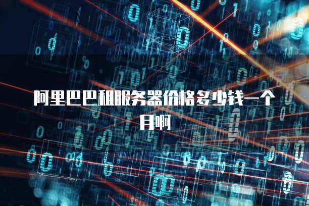 阿里巴巴租服务器价格多少钱一个月啊