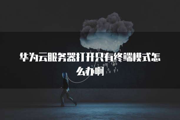 华为云服务器打开只有终端模式怎么办啊