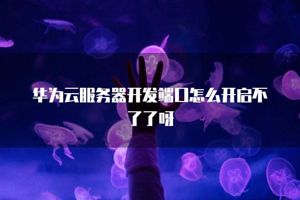 华为云服务器开发端口怎么开启不了了呀