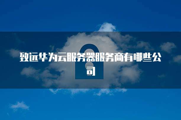 致远华为云服务器服务商有哪些公司