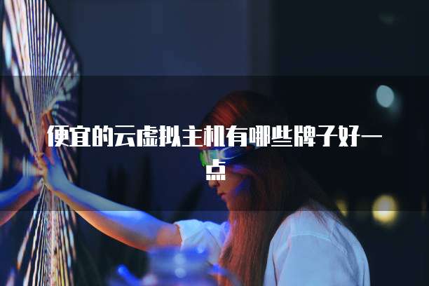 便宜的云虚拟主机有哪些牌子好一点