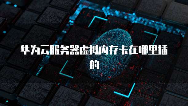 华为云服务器虚拟内存卡在哪里插的