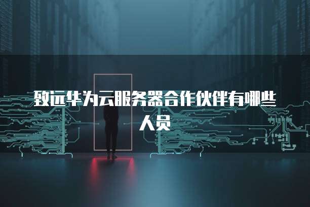 致远华为云服务器合作伙伴有哪些人员