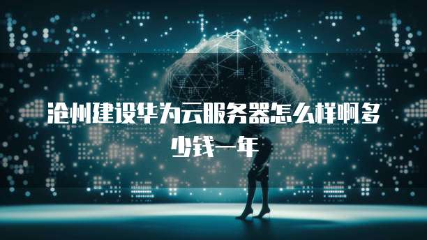 沧州建设华为云服务器怎么样啊多少钱一年
