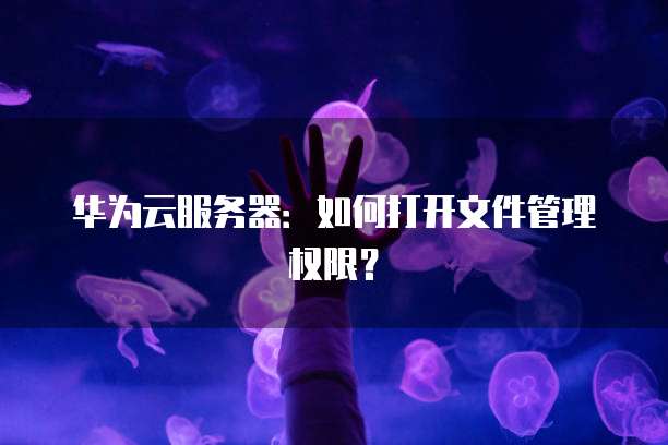 华为云服务器：如何打开文件管理权限？