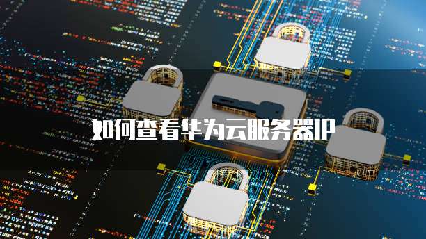 如何查看华为云服务器IP