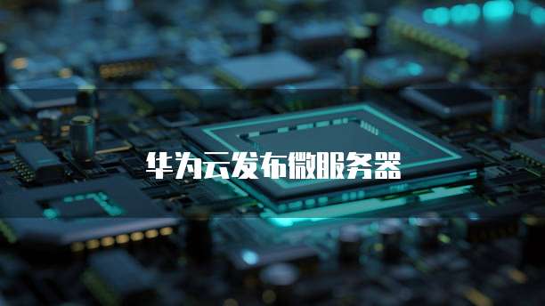 华为云发布微服务器