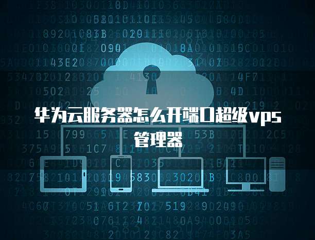 华为云服务器怎么开端口超级vps管理器