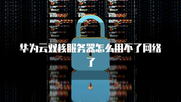 华为云双核服务器怎么用不了网络了