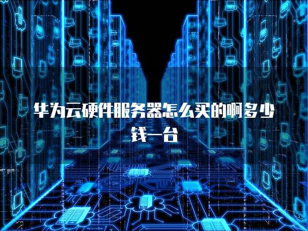华为云硬件服务器怎么买的啊多少钱一台