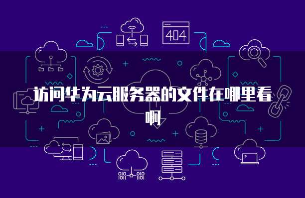 访问华为云服务器的文件在哪里看啊