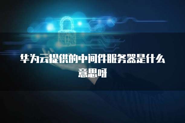 华为云提供的中间件服务器是什么意思呀