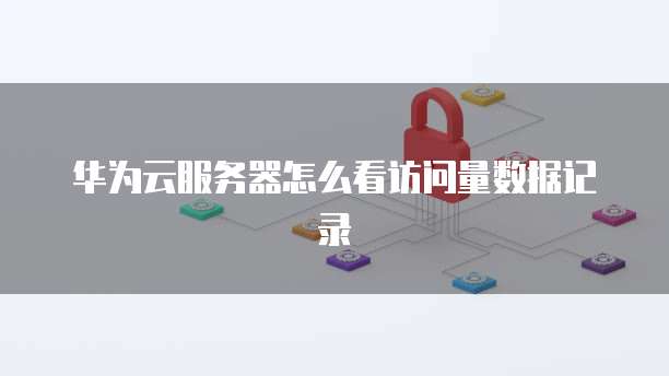 华为云服务器怎么看访问量数据记录