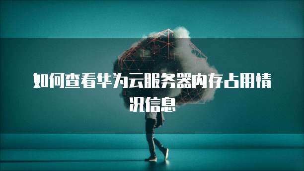 如何查看华为云服务器内存占用情况信息