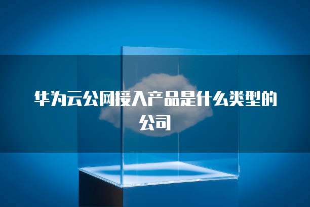 华为云公网接入产品是什么类型的公司