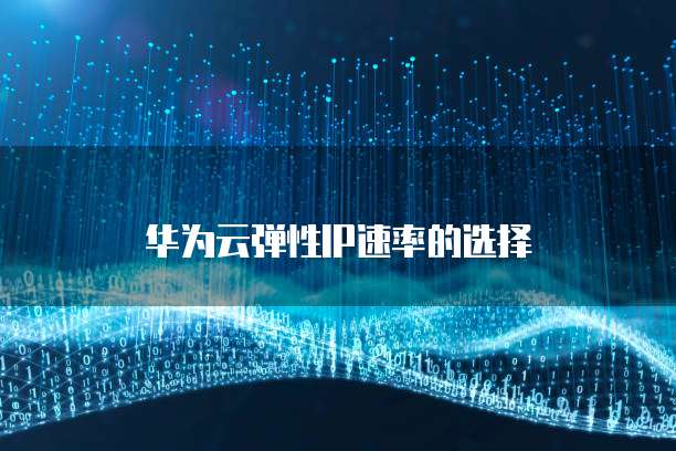 华为云弹性IP速率的选择