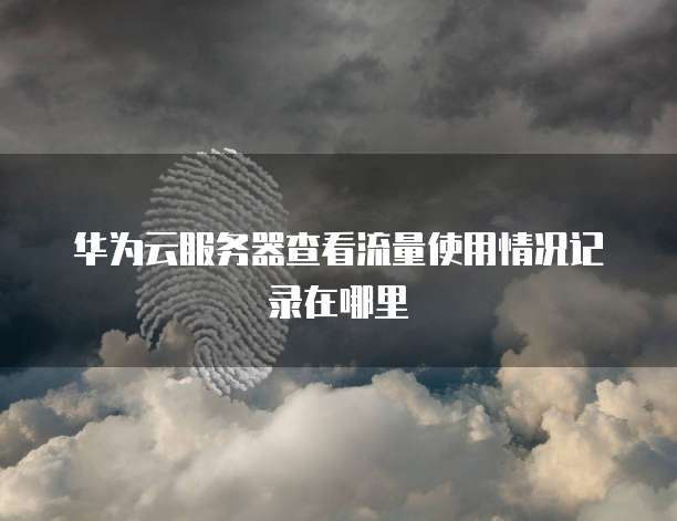 华为云服务器查看流量使用情况记录在哪里
