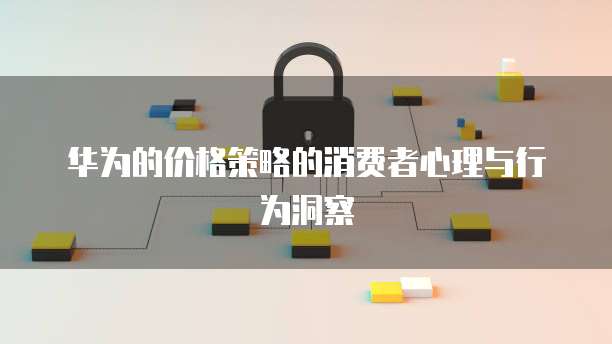 华为的价格策略的消费者心理与行为洞察