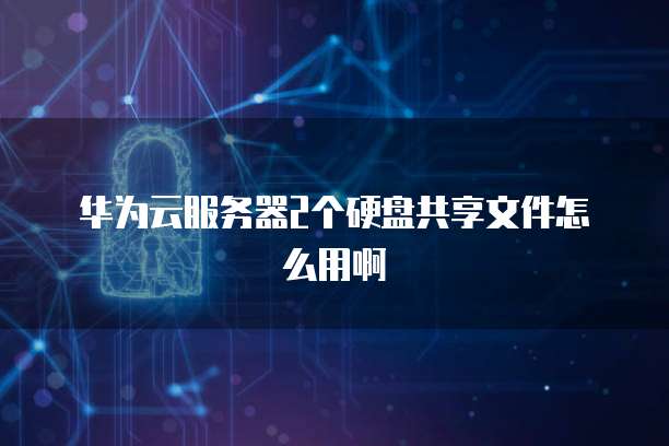 华为云服务器2个硬盘共享文件怎么用啊