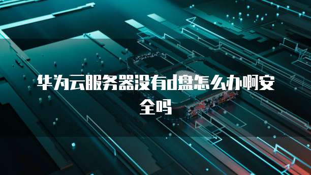 华为云服务器没有d盘怎么办啊安全吗