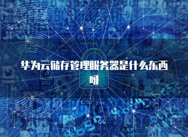 华为云储存管理服务器是什么东西呀