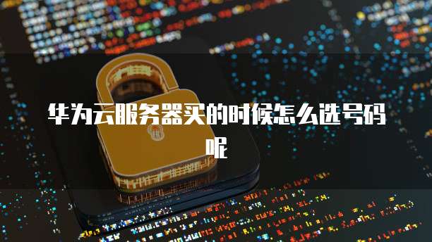 华为云服务器买的时候怎么选号码呢