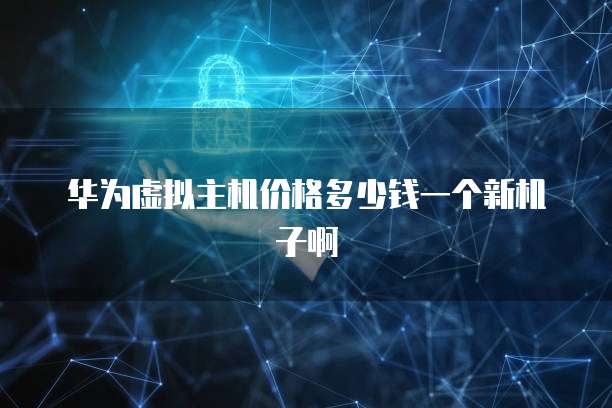 华为虚拟主机价格多少钱一个新机子啊