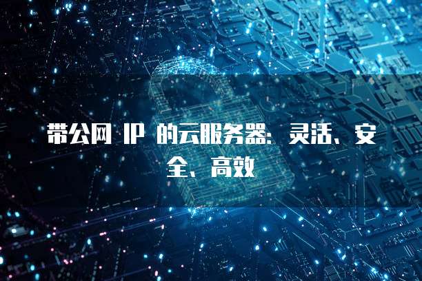 带公网 IP 的云服务器：灵活、安全、高效