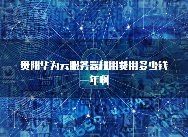 贵阳华为云服务器租用费用多少钱一年啊