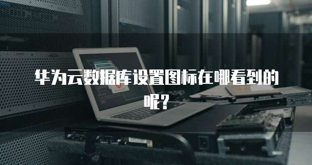 华为云数据库设置图标在哪看到的呢？
