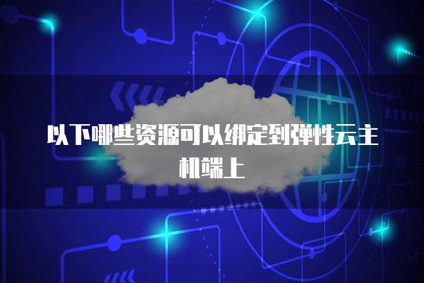 以下哪些资源可以绑定到弹性云主机端上