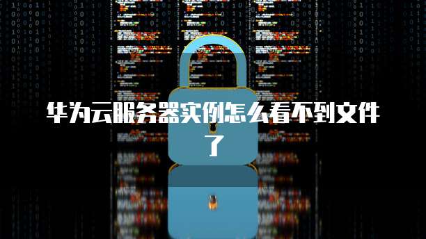 华为云服务器实例怎么看不到文件了