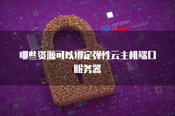 哪些资源可以绑定弹性云主机端口服务器
