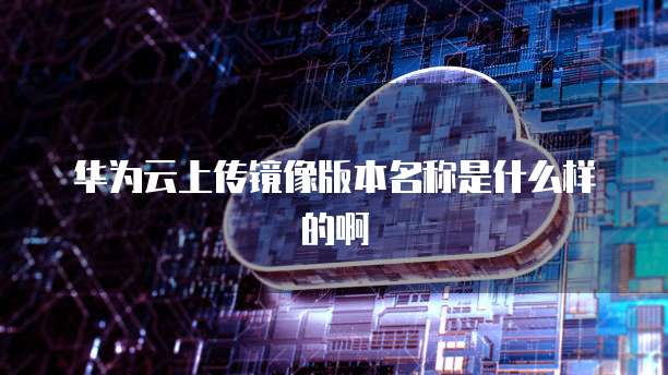 华为云上传镜像版本名称是什么样的啊